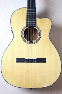 エレクトリックアコースティックギター、エレガットの商品検索結果一覧