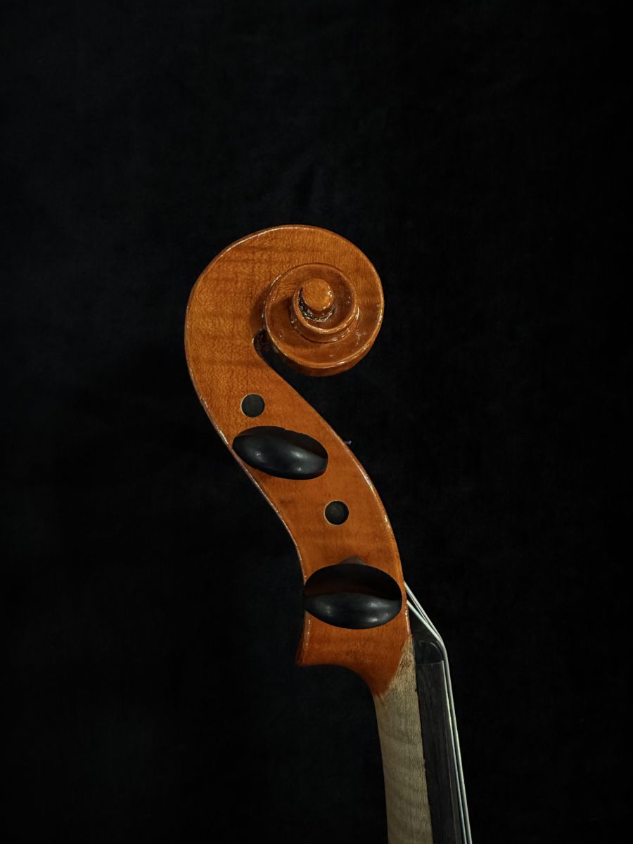 Gliga Gems 2022 40.5cm | 【クロサワ楽器店オンラインショップ】いい