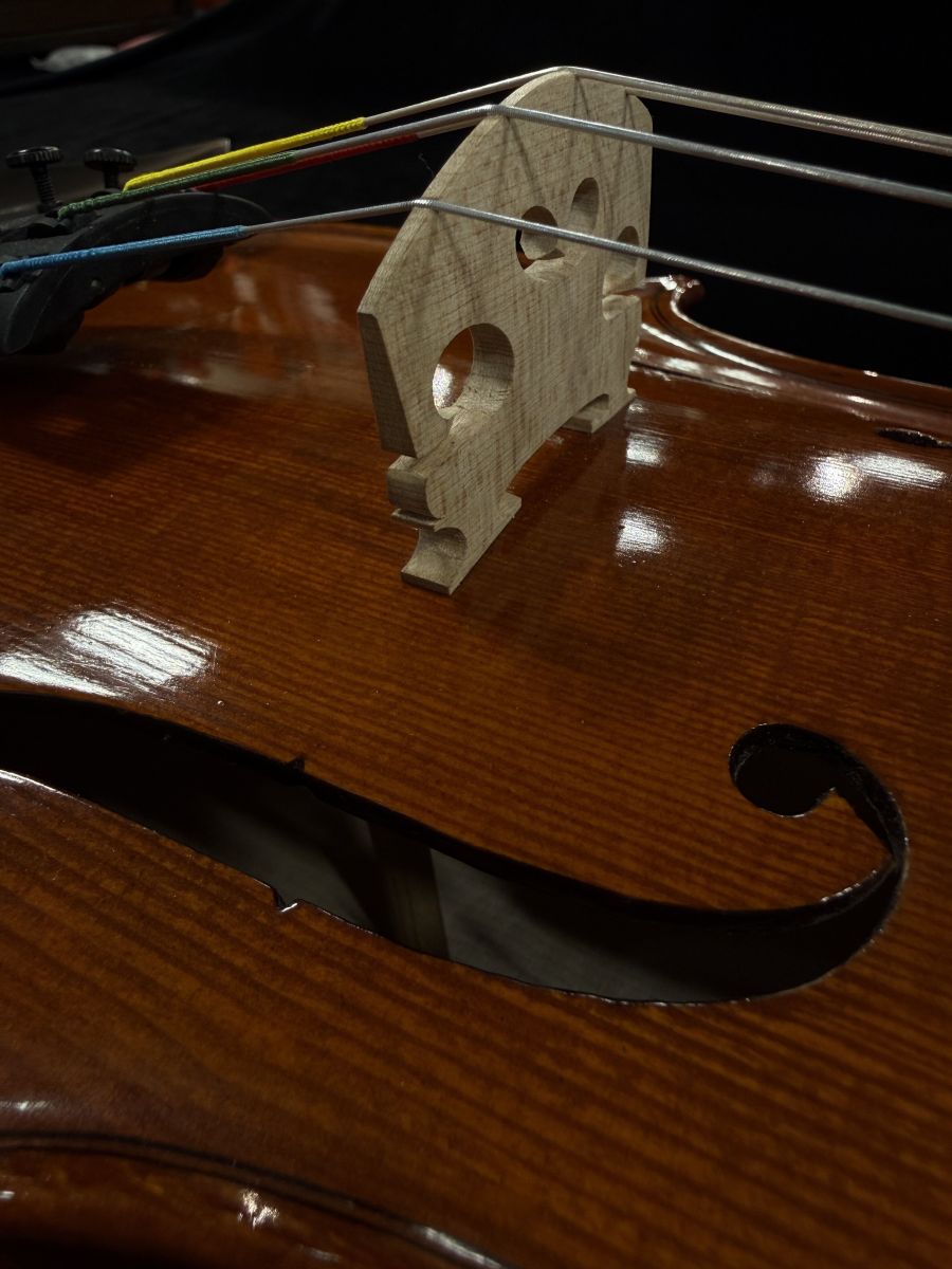 Gliga Gems 2022 40.5cm | 【クロサワ楽器店オンラインショップ】いい