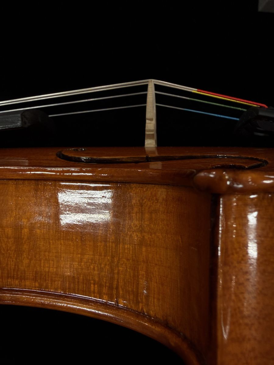 Gliga Gems 2022 40.5cm | 【クロサワ楽器店オンラインショップ】いい