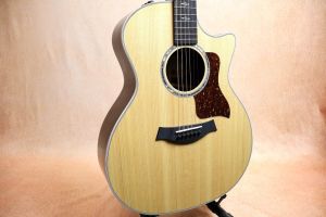 Taylor、30万円～50万円未満のアコースティックギター検索結果一覧
