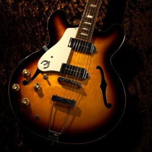 Epiphone、ナチュラル / 木目 系のエレキギター検索結果一覧