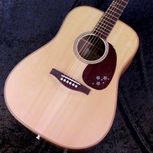 Headway、30万円～50万円未満のアコースティックギター検索結果一覧