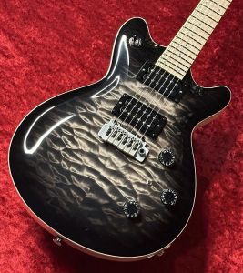 T's Guitars、24フレットのエレキギター検索結果一覧 | 【クロサワ楽器