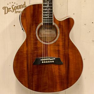 Takamineのアコースティックギター検索結果一覧 | 【クロサワ楽器店
