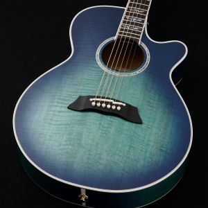 アコースティックギター、Takamineのアコースティックギター検索結果