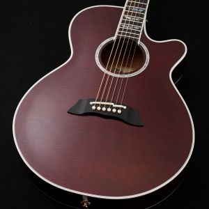 Takamine、20万円～30万円未満のアコースティックギター検索結果一覧