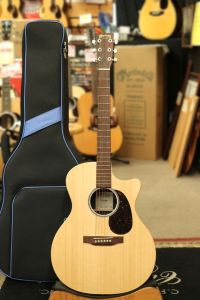 Martin、ギグバッグのアコースティックギター検索結果一覧