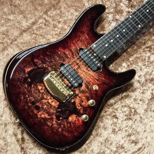 エレキギター メタル系 SSH 24フレット l Ds SSH、24フレットのエレキ