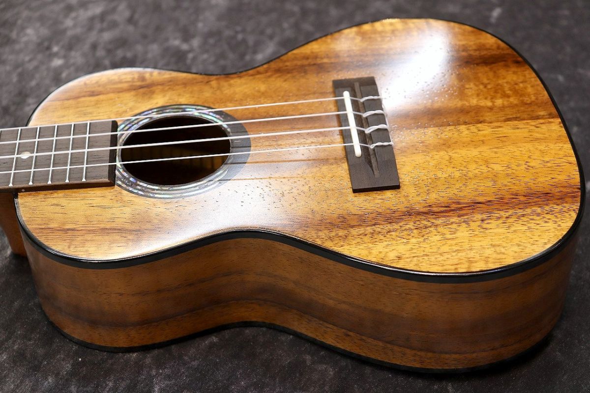 その他 CM-54A #A25040026 | 【クロサワ楽器店オンラインショップ