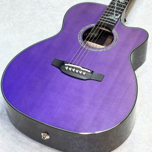アコースティックギター、Takamineのアコースティックギター検索結果
