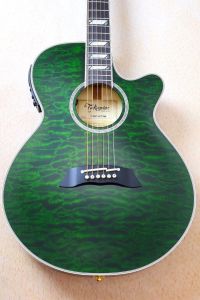 Takamine、緑 系のアコースティックギター検索結果一覧 | 【クロサワ