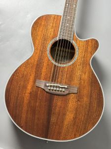 Takamine、コアのアコースティックギター検索結果一覧 | 【クロサワ