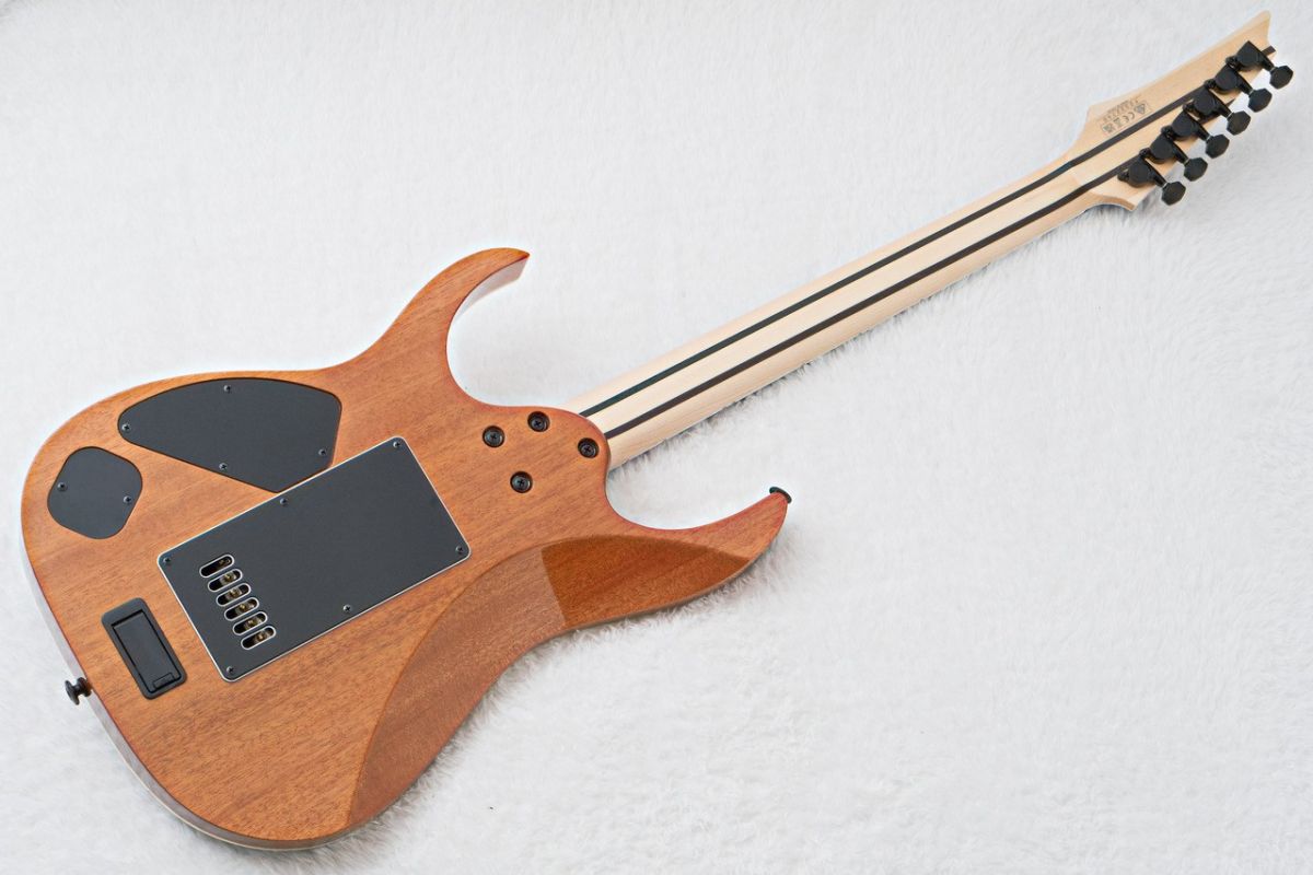 RG5121ET -Polar Light- 2023年製 | 【クロサワ楽器店オンライン