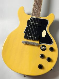 レスポール タイプ、22フレットのエレキギター検索結果一覧