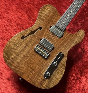 エレクトリックギター、茶 系のエレキギター検索結果一覧 | 【クロサワ