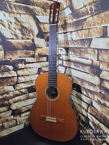 中古、ハードケースのクラシックギター検索結果一覧 | 【クロサワ楽器