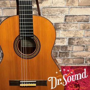 Antonio Sanchez、セミハードケースのクラシックギター検索結果一覧