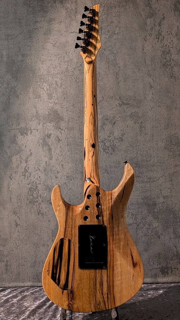 その他 Light DC Pale Moon Ebony Top / Black Limba Back /Pale Moon