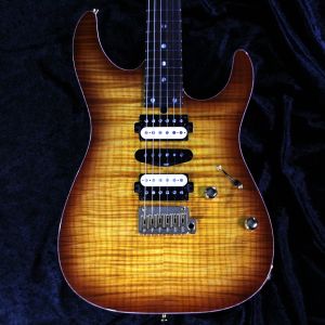 T's Guitars、24フレットのエレキギター検索結果一覧 | 【クロサワ楽器