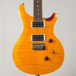 Paul Reed Smith(PRS)、セットネックのエレキギター検索結果一覧