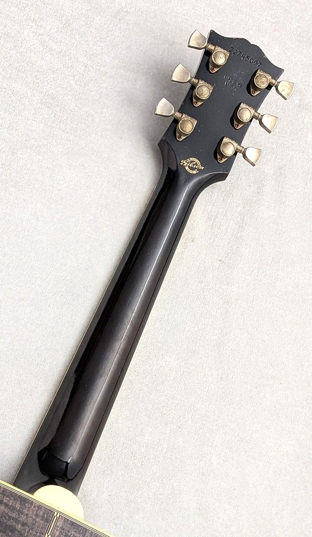 Dove Double Guard Trans Ebony Light Aged | 【クロサワ楽器店