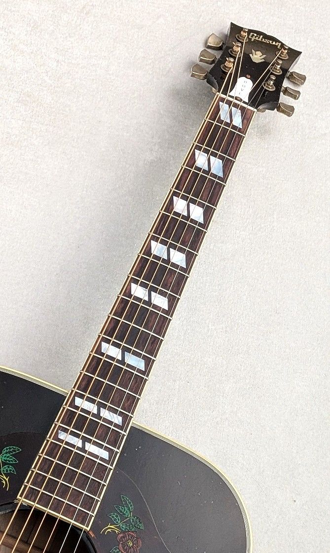 Dove Double Guard Trans Ebony Light Aged | 【クロサワ楽器店