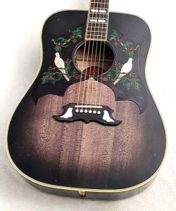 スプルース、メイプルのアコースティックギター検索結果一覧