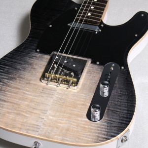 テレキャス タイプ、22フレットのエレキギター検索結果一覧