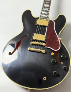 エボニー指板、マホガニーのエレキギター検索結果一覧 | 【クロサワ