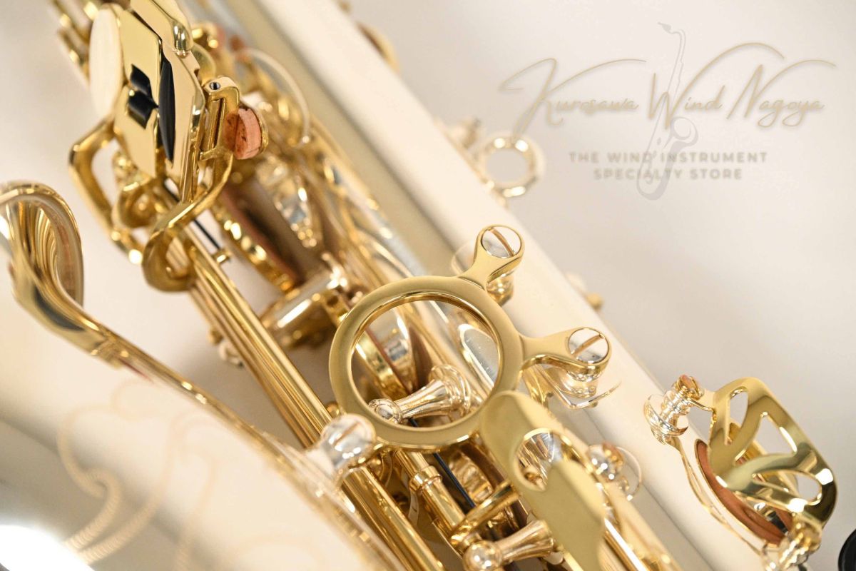 CAS-A70SL | 【クロサワ楽器店オンラインショップ】いい楽器とのいい