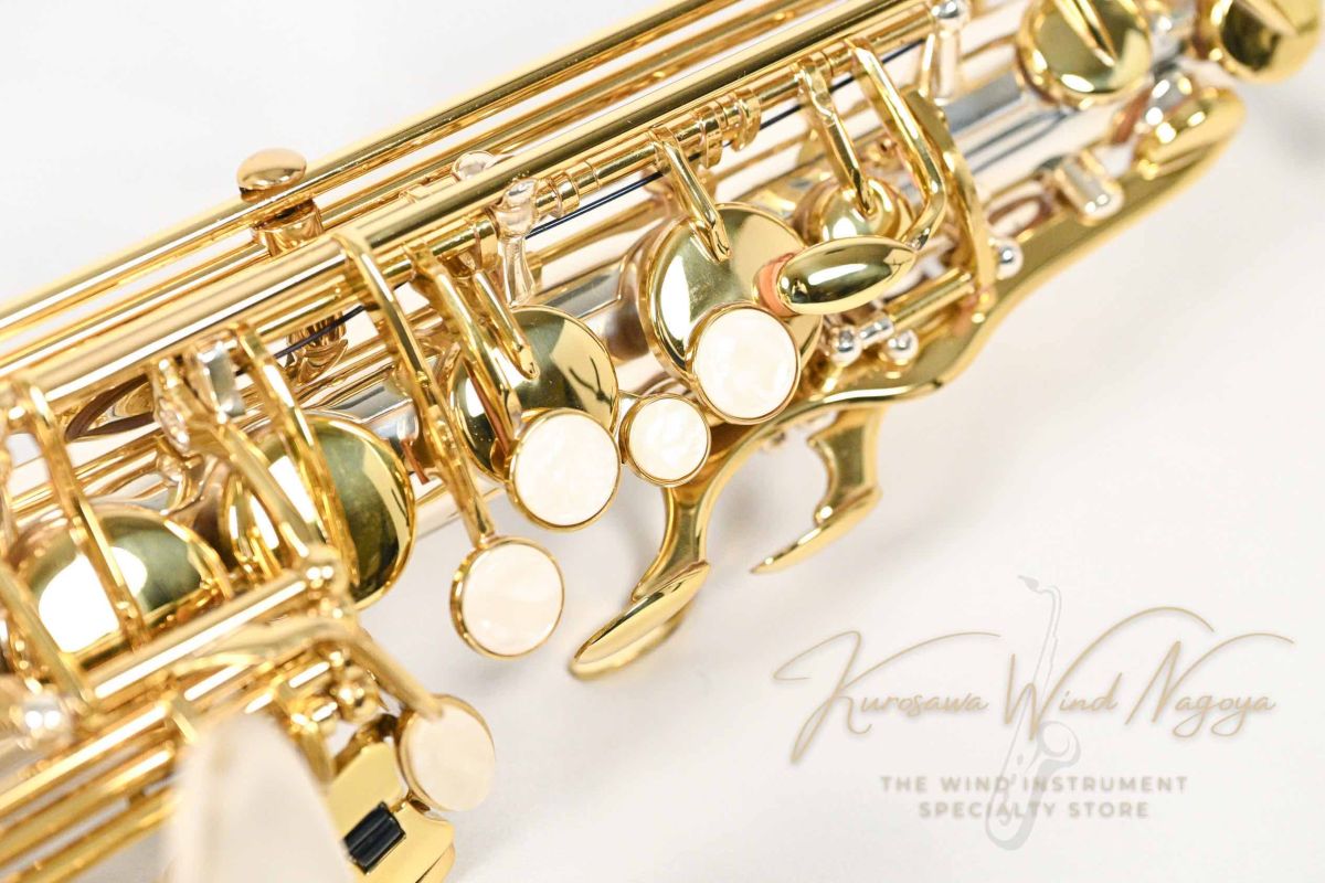 CAS-A70SL | 【クロサワ楽器店オンラインショップ】いい楽器とのいい