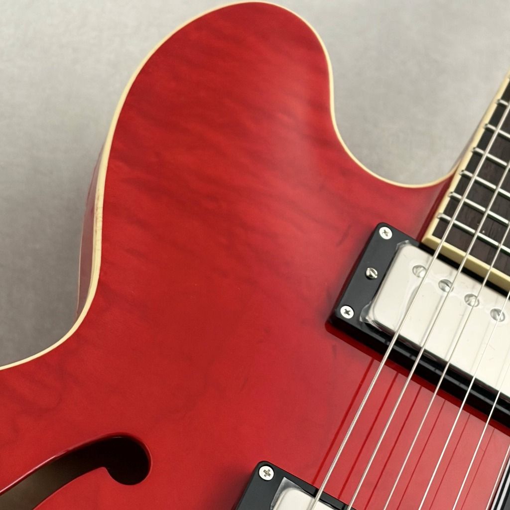ES-201F ~See-Through Red~ | 【クロサワ楽器店オンラインショップ