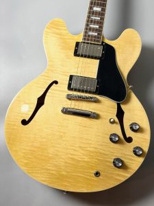 エレクトリックギター、セミアコのエレキギター検索結果一覧