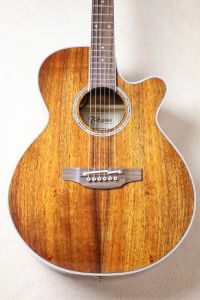 Takamine、コアのアコースティックギター検索結果一覧 | 【クロサワ