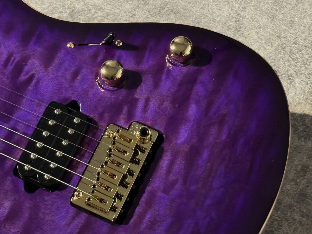Custom Modern Carve Top Trans Purple Burst | 【クロサワ楽器店