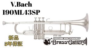 トランペットの管楽器検索結果一覧 | 【クロサワ楽器店オンライン