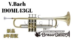 トランペット、ゴールド 系の管楽器検索結果一覧 | 【クロサワ楽器店