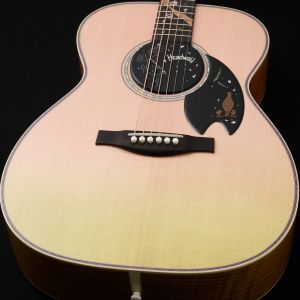 Headway、ハードケースのアコースティックギター検索結果一覧