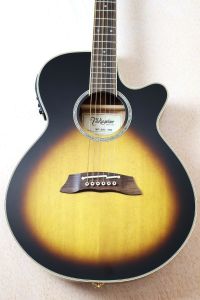 Takamine、サンバースト 系のアコースティックギター検索結果一覧
