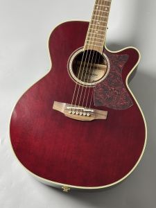 Takamineのアコースティックギター検索結果一覧 | 【クロサワ楽器店