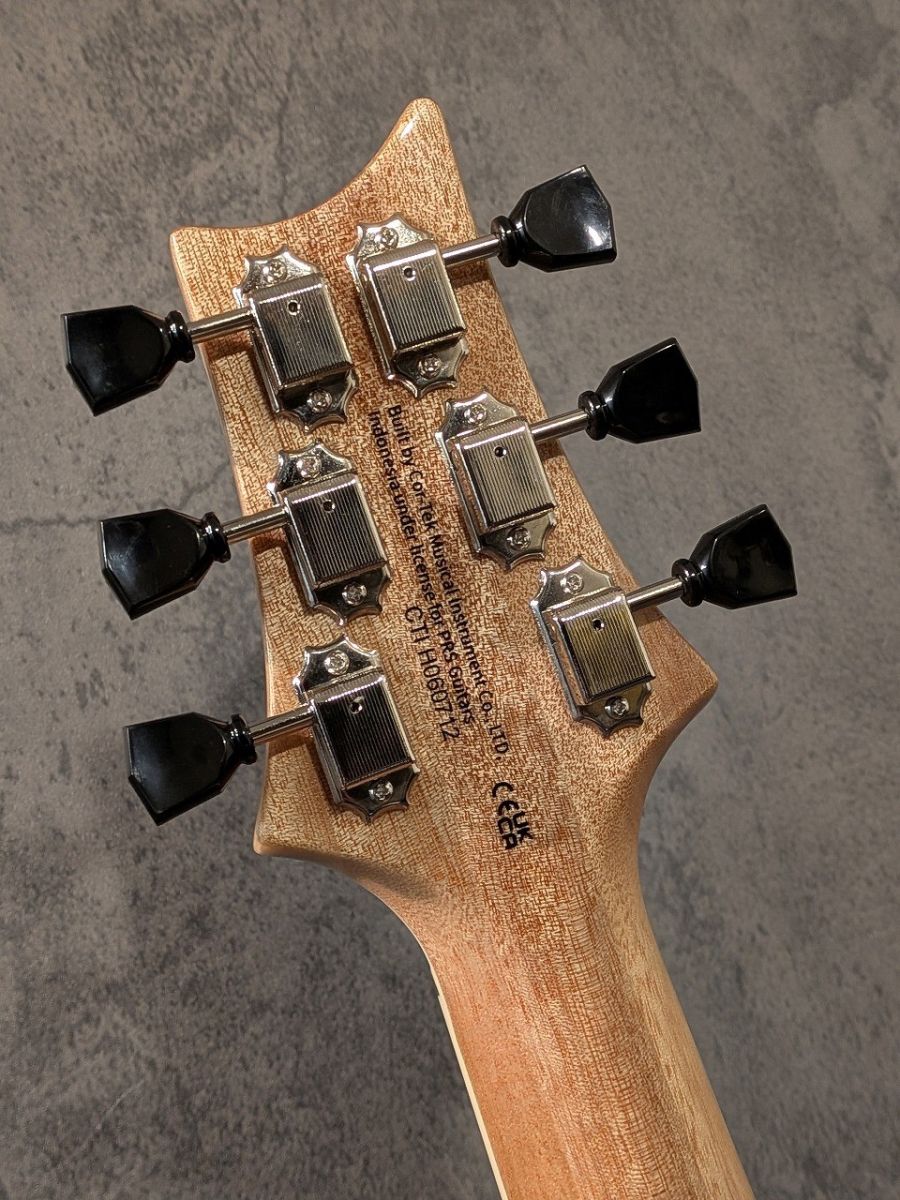 SE Zach Myers Semi-Hollow Body Myers Blue #H060712 | 【クロサワ