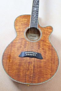Takamine 【オールコア・美杢目】 DMP100K N #63032446
