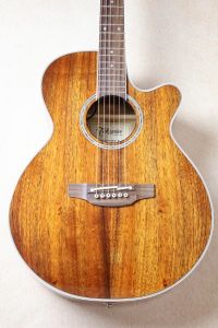 Takamine PTU131KC N #62090410【送料当社負担・最大48回分割無金利】