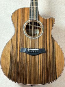Taylor、新品のアコースティックギター検索結果一覧 | 【クロサワ楽器