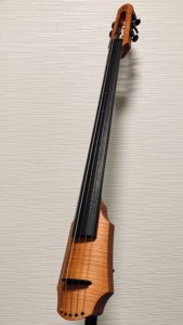 NS Designの弦楽器検索結果一覧 | 【クロサワ楽器店オンラインショップ