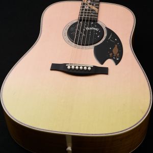 ドレッドノート タイプのアコースティックギター検索結果一覧