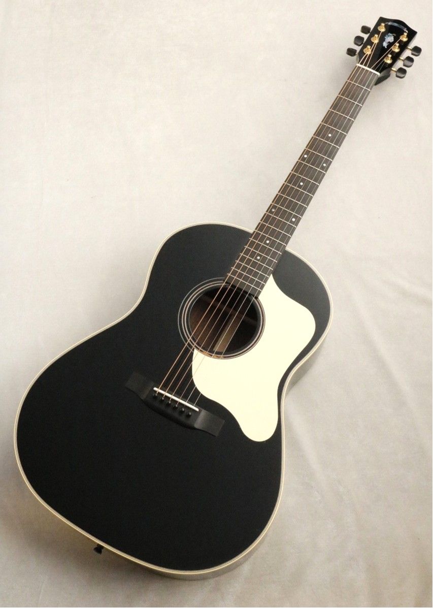 SAD-2000 BLK | 【クロサワ楽器店オンラインショップ】いい楽器との