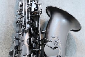 Cannonball A5-BiceB "Raven" S/N 204*** 【中古】【サックス専門店】