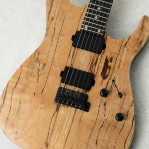 Psychederhythm、その他指板材のエレキギター検索結果一覧